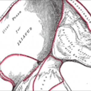 Mandelay Climax Control Gel - How To Overcome Premature Ejaculation - Stay Till The End Of The Party